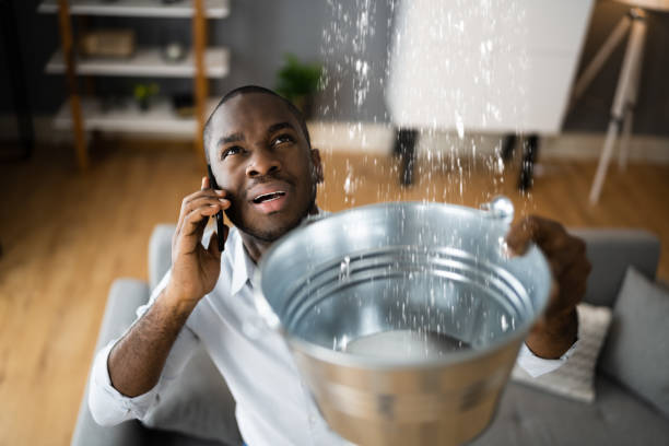 Best Ceiling water damage repair  in Biscoe, NC