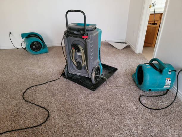 Best Carpet water damage restoration  in Biscoe, NC