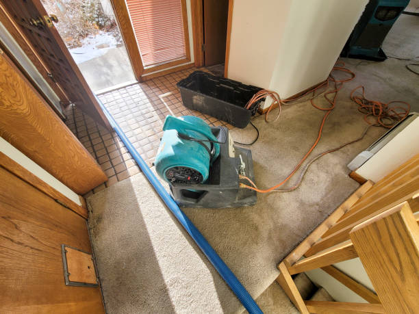 Best Water damage restoration services  in Biscoe, NC