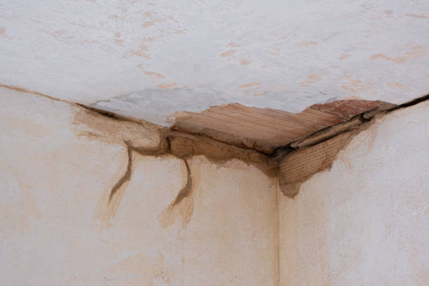 Best Fire Damage Restoration  in Biscoe, NC