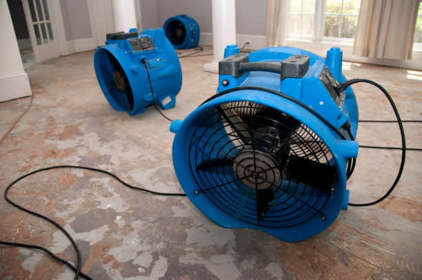 Reliable NC Water damage restoration Solutions