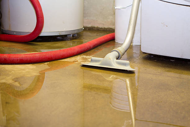 Best Water damage contractors near me  in Biscoe, NC