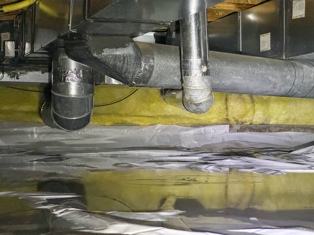 Best Local water damage restoration  in Biscoe, NC
