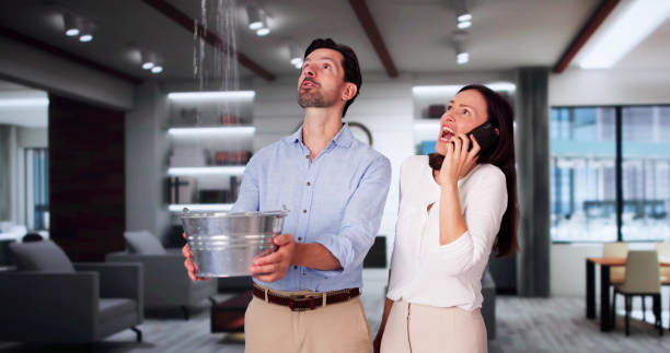 Best Sewage cleanup and water damage restoration  in Biscoe, NC